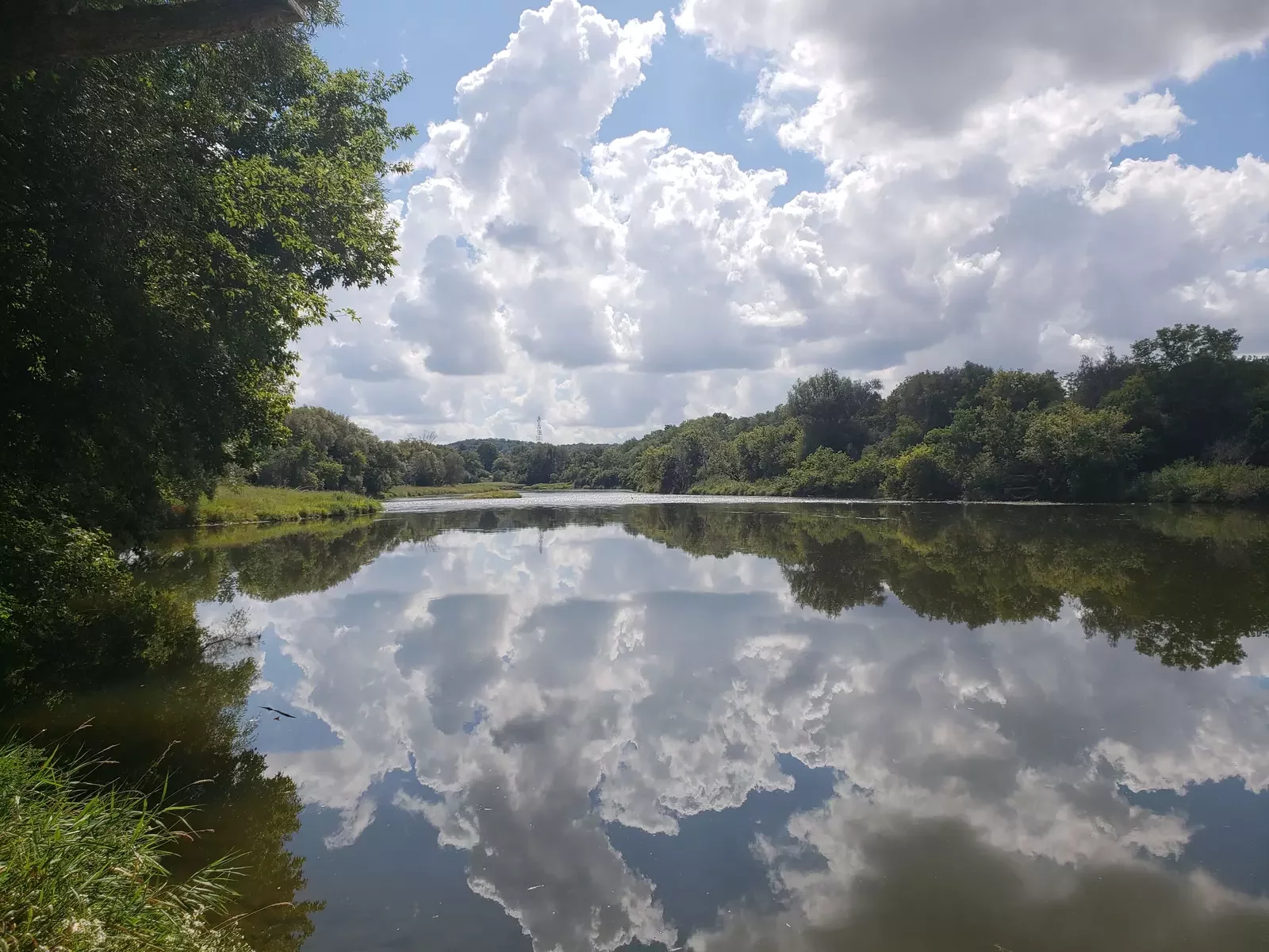 Image of the Grand River in Kitchener