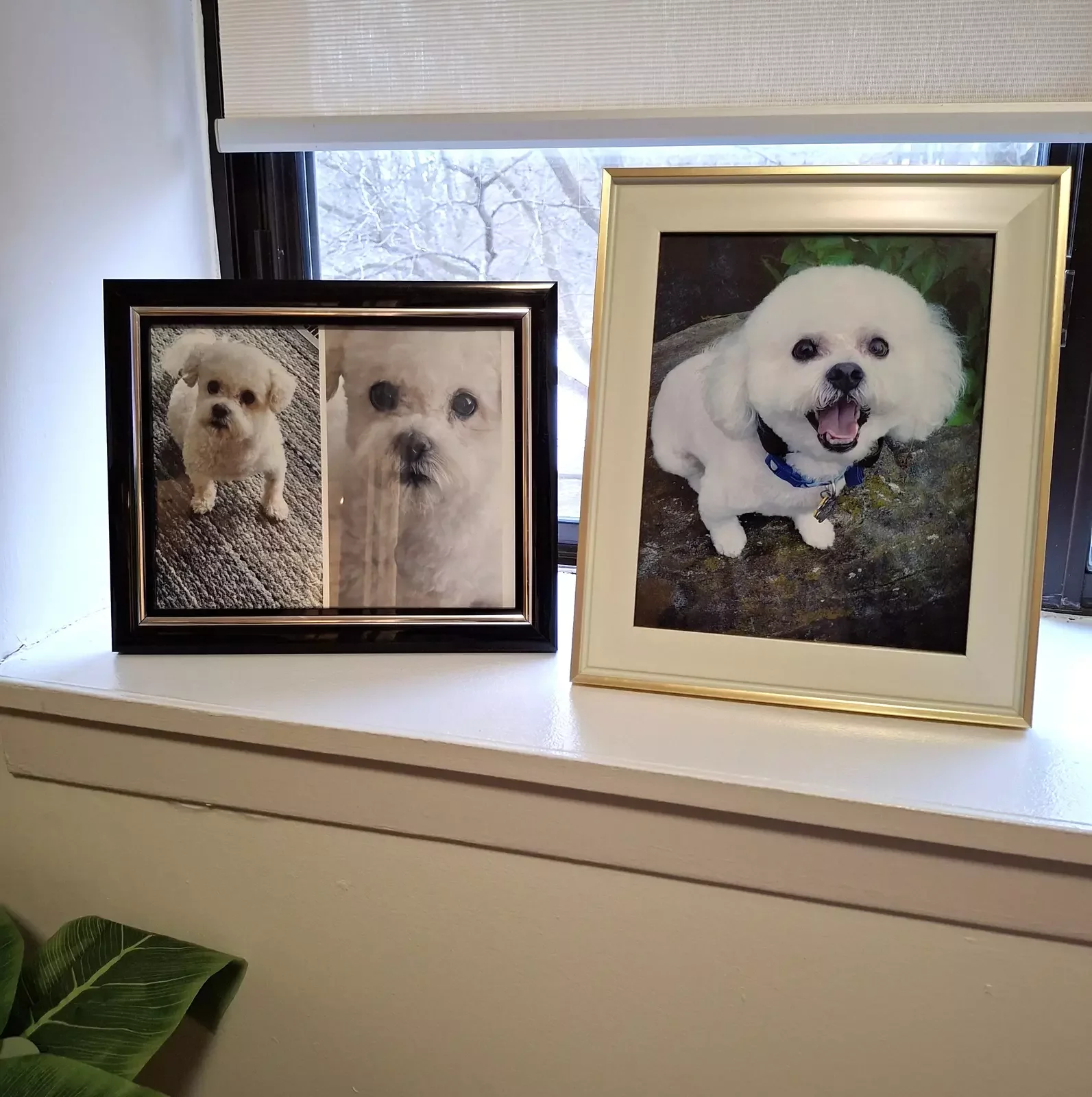 Picture frames on a window sill